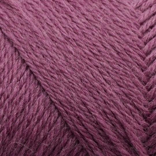 ARWETTA 236 Red Clover