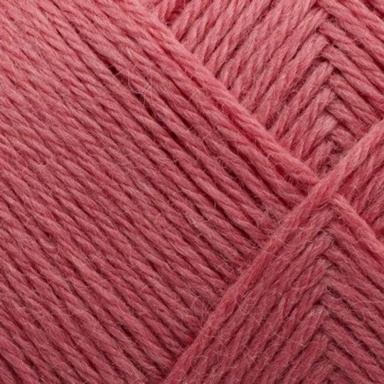 ARWETTA 361 Madeira Rose