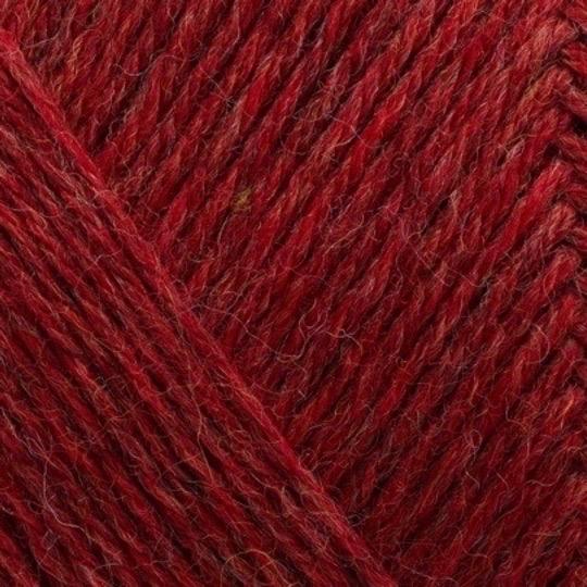 ARWETTA 810 Chrysanthemum melange