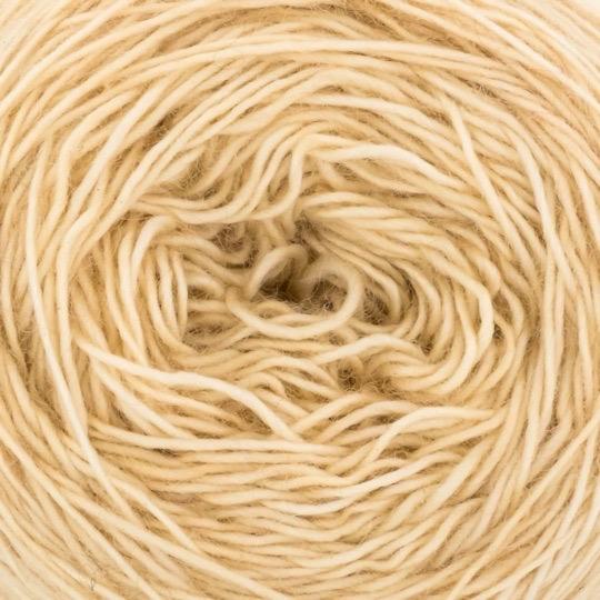 MERINO SINGLE LACE Champagne